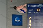Diving vs Babson  Wheaton College Diving vs Babson College. - Photo By: KEITH NORDSTROM : Wheaton, Diving